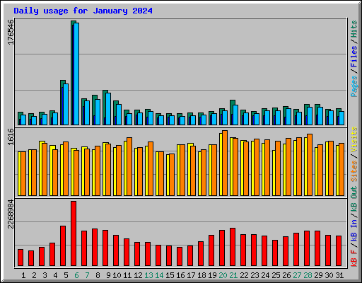 Daily usage for January 2024