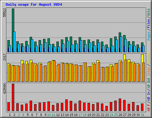 Daily usage for August 2024