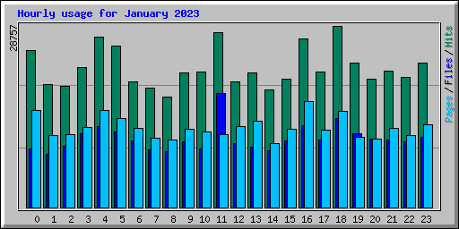 Hourly usage for January 2023