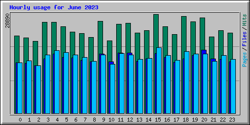 Hourly usage for June 2023