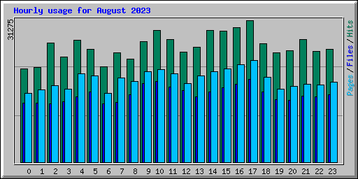 Hourly usage for August 2023