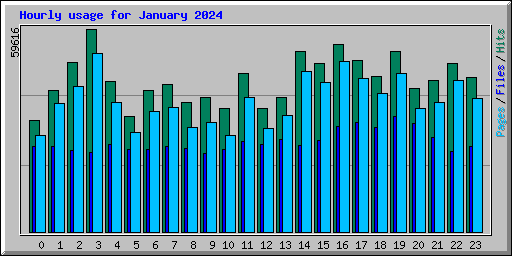 Hourly usage for January 2024