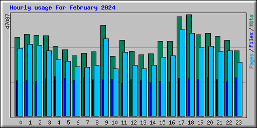 Hourly usage for February 2024