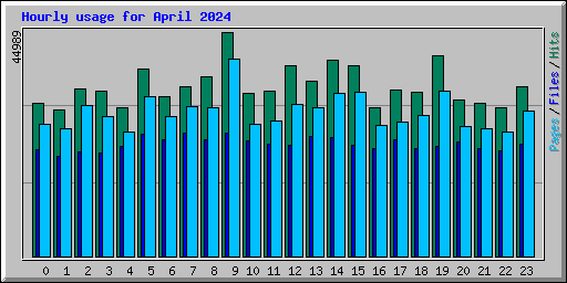 Hourly usage for April 2024