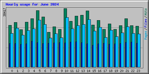 Hourly usage for June 2024