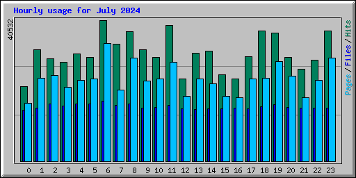 Hourly usage for July 2024