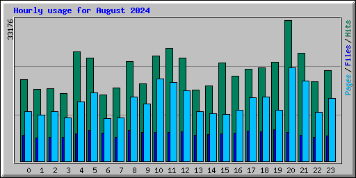 Hourly usage for August 2024