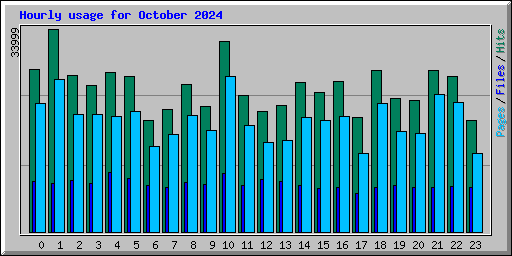 Hourly usage for October 2024